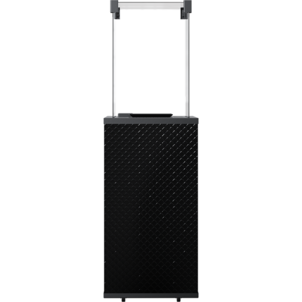 Kratki PATIO/G31/37MBAR/CZ/P стекло, черное тиснение с пультом ДУ