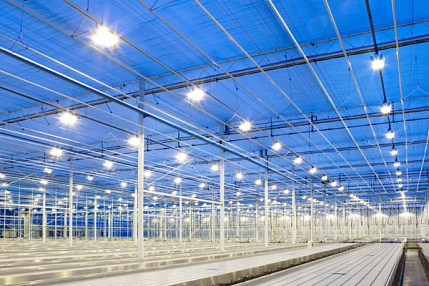 Проектирование освещения